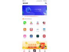 影視VIP聚合app招商