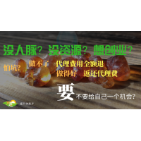 養(yǎng)生土特產(chǎn)區(qū)域代理-不做全額退費-做得好還返還代理費