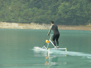 海鷗牌水上健身車